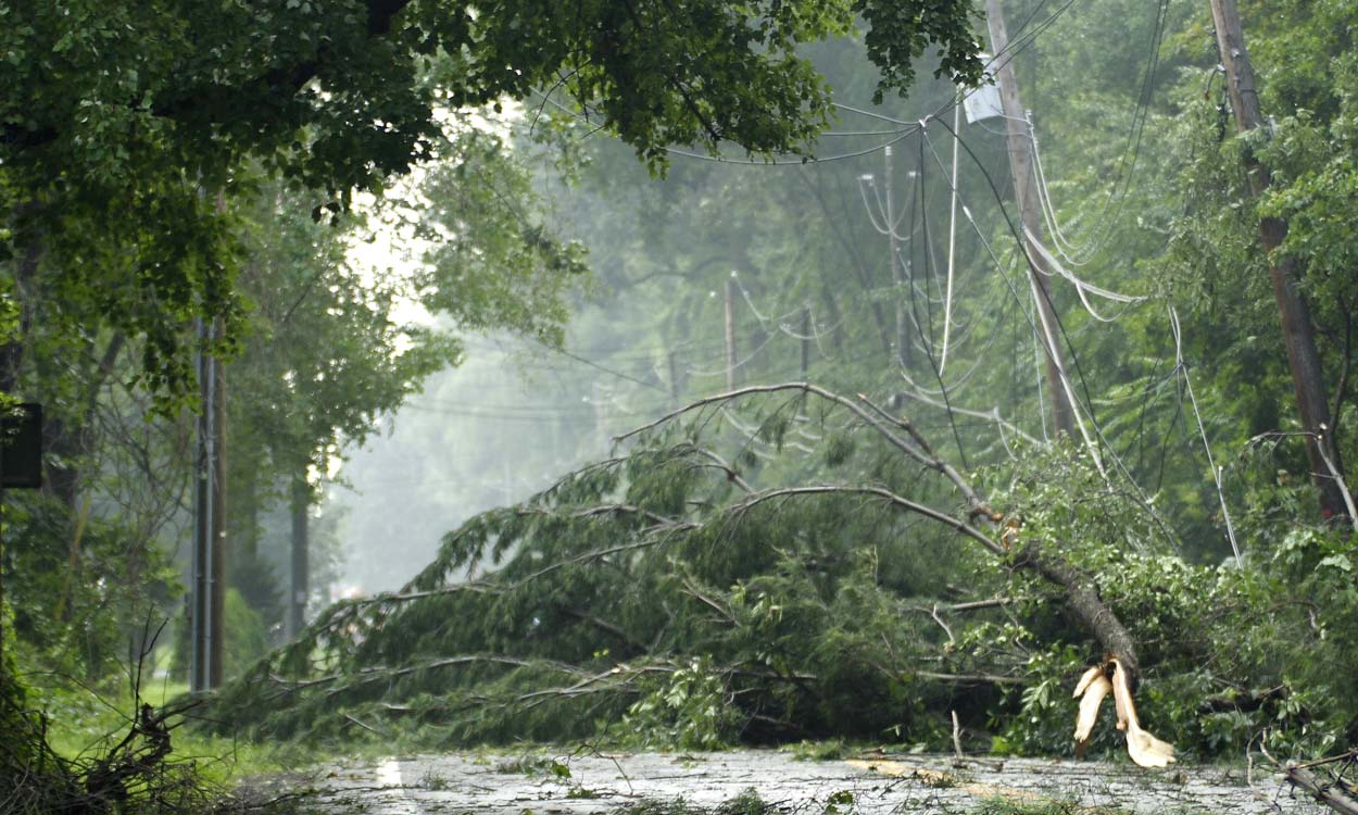 Storm Damage